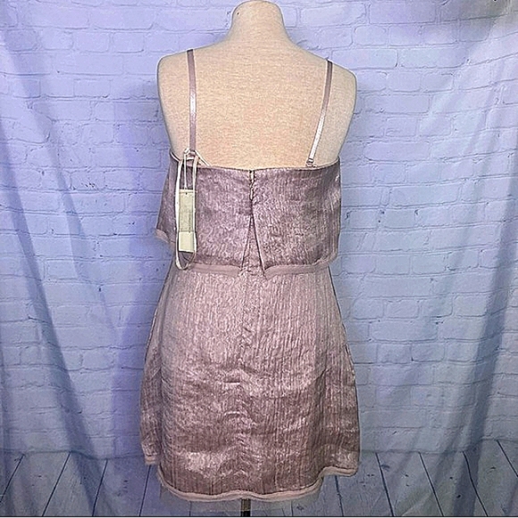 NWT BCBGeneration light mauve dress w sheer overlay - Picture 10 of 16